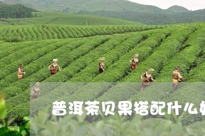 普洱茶贝果搭配什么好/2023110768481