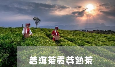 普洱茶贡芽熟茶/2023101652615