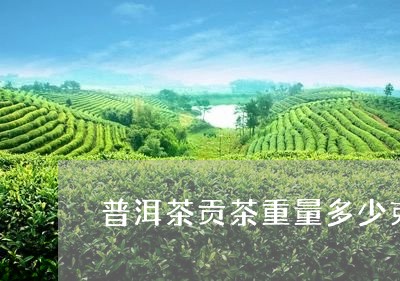 普洱茶贡茶重量多少克好/2023120798504