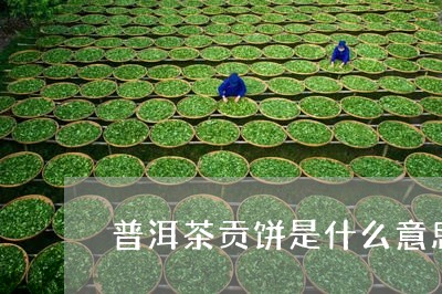 普洱茶贡饼是什么意思/2023072260706