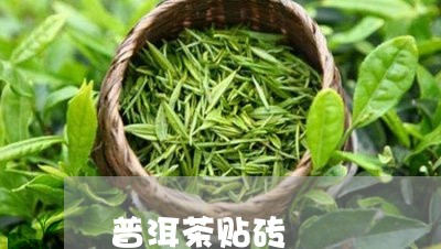 普洱茶贴砖/2023110744715