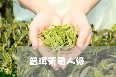 普洱茶贵人缘/2023042770642