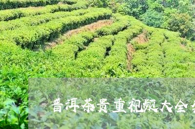 普洱茶贵重视频大全套/2023121794916