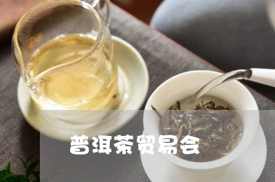 普洱茶贸易会/2023042870758