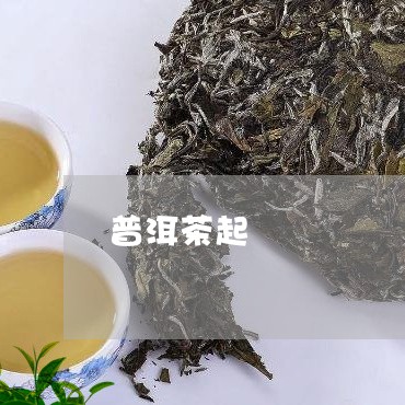 普洱茶起/2023083137471