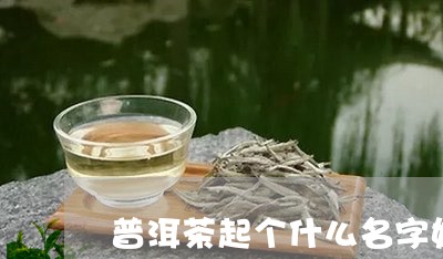 普洱茶起个什么名字好/2023093083148