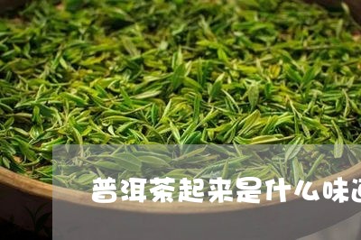 普洱茶起来是什么味道/2023080213915