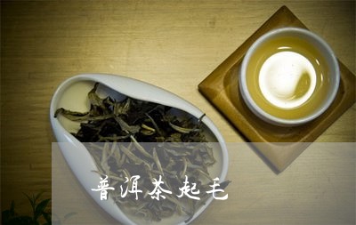 普洱茶起毛/2023090543834