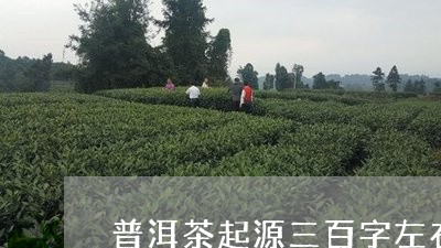 普洱茶起源三百字左右/2023092855054