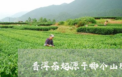 普洱茶起源于哪个山脉/2023073014948