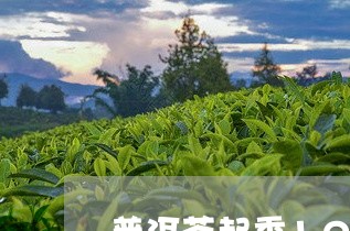 普洱茶起香10种方法/2023072428372