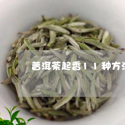 普洱茶起香11种方法/2023092729625