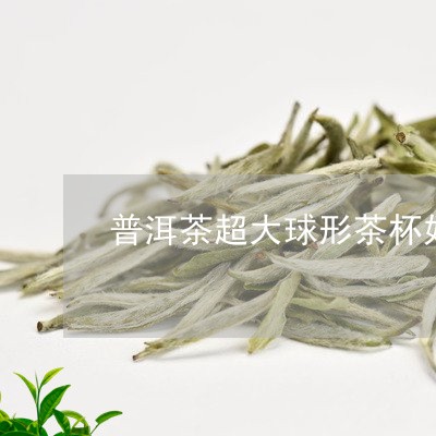 普洱茶超大球形茶杯好吗/2023050659702