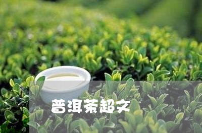 普洱茶超文/2023102543827