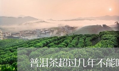 普洱茶超过几年不能喝/2023100651715