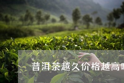 普洱茶越久价格越高吗/2023062304036