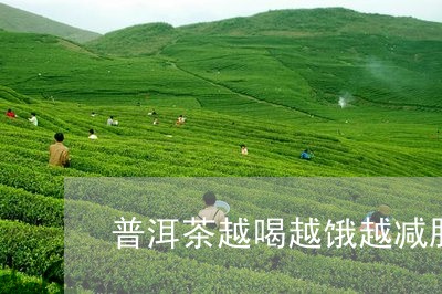 普洱茶越喝越饿越减肥/2023062040385