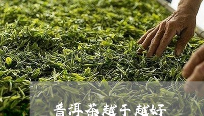 普洱茶越干越好/2023101674939