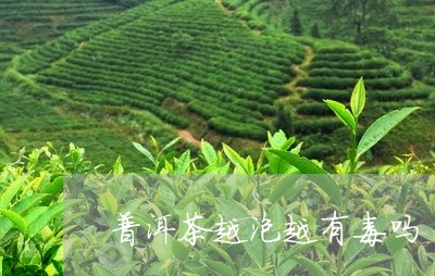 普洱茶越泡越有毒吗/2023091579603