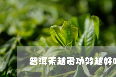 普洱茶越贵功效越好吗/2023072412958