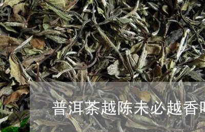 普洱茶越陈未必越香吗/2023061606571