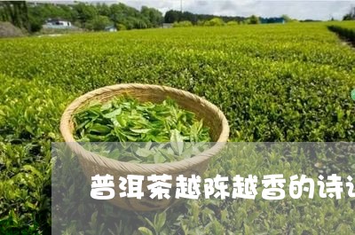 普洱茶越陈越香的诗词/2023072466038