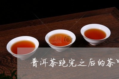 普洱茶跑完之后的茶叶/2023062243835