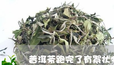 普洱茶跑完了有絮状物/2023092908491