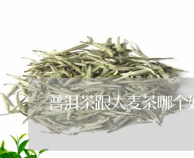 普洱茶跟大麦茶哪个好/2023062230471