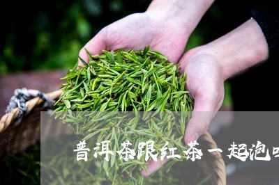 普洱茶跟红茶一起泡吗/2023092681704