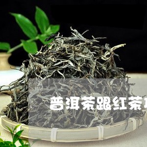 普洱茶跟红茶功效做法一样吗/2023052995948