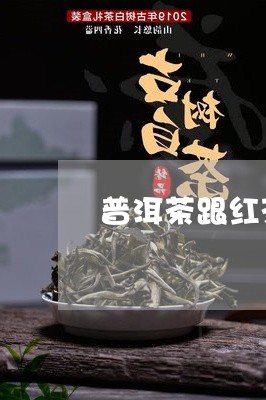 普洱茶跟红茶功效适合一起喝吗/2023082821484