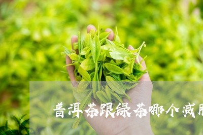 普洱茶跟绿茶哪个减肥/2023080124170