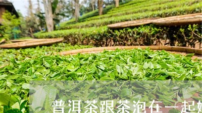 普洱茶跟茶泡在一起好/2023093048260