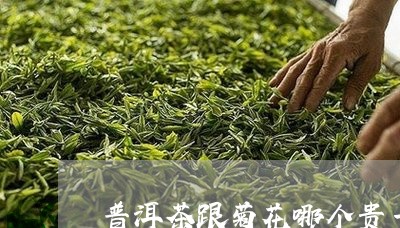 普洱茶跟菊花哪个贵一点/2023050596043