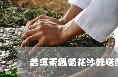 普洱茶跟菊花沙棘搭配/2023100752926