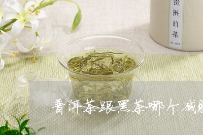 普洱茶跟黑茶哪个减肥/2023080343026