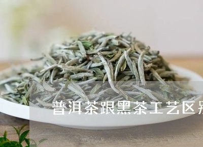 普洱茶跟黑茶工艺区别/2023080399371