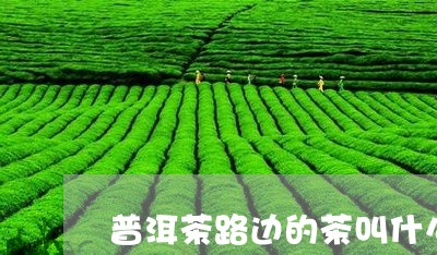 普洱茶路边的茶叫什么/2023080300571