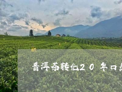 普洱茶转化20年口感/2023092805037