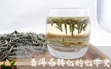 普洱茶转化的化学变化/2023112719618