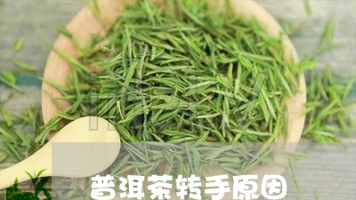 普洱茶转手原因/2023102635725