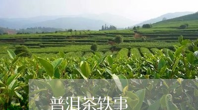 普洱茶轶事/2023090552826