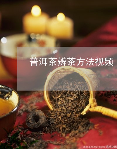 普洱茶辨茶方法视频/2023120572825