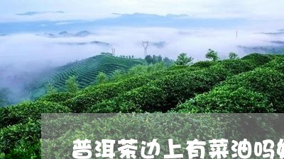 普洱茶边上有菜油吗好吗/2023110704837