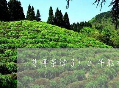 普洱茶过了10年能喝吗/2023082521615