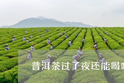 普洱茶过了夜还能喝吗/2023072478279