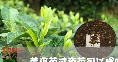 普洱茶过夜茶可以喝吗/2023092985926