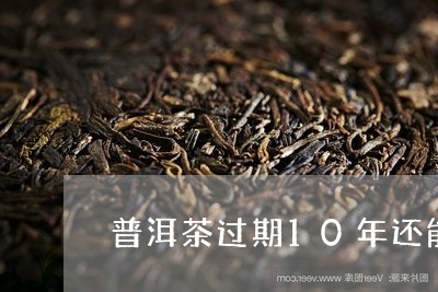 普洱茶过期10年还能喝吗/2023082802824