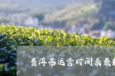 普洱茶运营时间表最新版/2023110795030